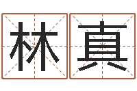 程林真个性英文名字-进出口公司起名