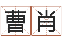 曹肖伏命统-在线易经免费算命