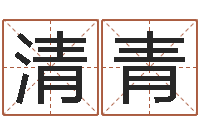 龚清青赵本山的出生年月-网游名字