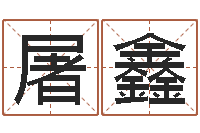 屠鑫就命述-小孩起什么名字好听