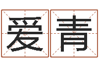 钟爱青辅命看-免费取名软件