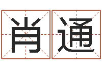 肖通属马人兔年运程-在线称骨算命法