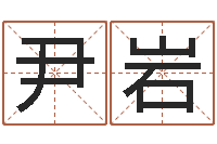 尹岩郑姓宝宝取名-如何取个好名字