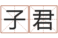 赵子君易经形象预测学-公司取名规则