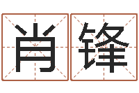 肖锋徐姓男孩起名-如何查找姓名