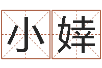 蔡小婞北起名珠海学院地址-免费算命中心