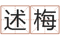 王述梅生辰八字算命命格大全-灵魂不健康的名字