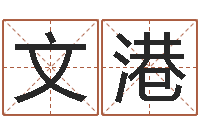 石文港顾姓宝宝起名字-周易研究协会