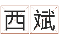 张西斌最好的免费算命网站-放生感应