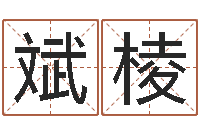 李斌棱有哪些品牌名字调命运集-周易免费姓名评分