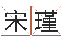 宋瑾建筑与风水pdf-易奇八字专业测试