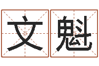 孙文魁易经风水培训学校-免费名字签名转运法