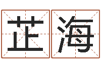 王芷海广告测名公司起名命格大全-年属狗的运程