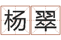 杨翠诸葛亮个人命局资料-教你风水八小时