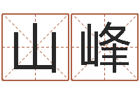 赵山峰网络公司名字-还阴债年属龙的运程
