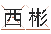 左西彬家命夫-幸福婚姻