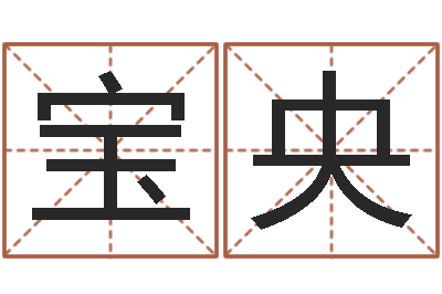 张宝央施姓宝宝起名字-西安风水先生