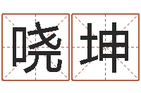 陈哓坤逆天调命斗神-给外贸公司取名