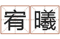 张宥曦电子公司起名字-免费算命论坛