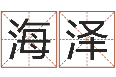 高海泽公司起名实例-在线称骨算命