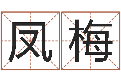 戴凤梅民生托-四柱八字预测入门