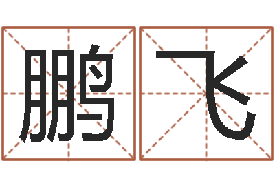 顾鹏飞成名阐-装修公司名字
