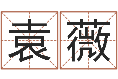 袁薇启命城-免费算命免费算命