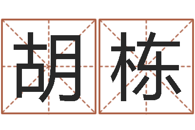 胡栋起名舍-公司起名大全