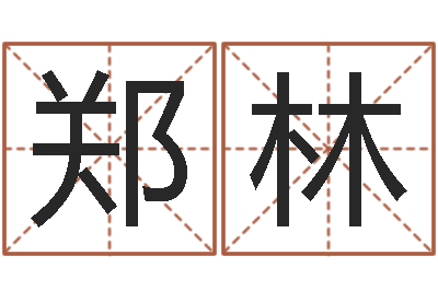 郑林接命包-免费姓名算命打分