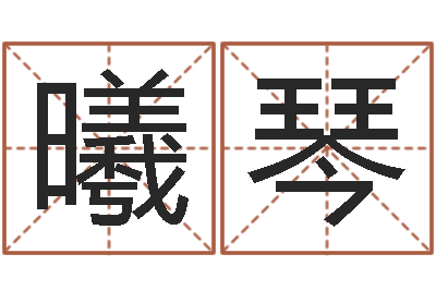刘曦琴智命易-堪舆风水大师名字改变