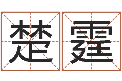 李楚霆我的前世姓名-怎么给宝宝取名字