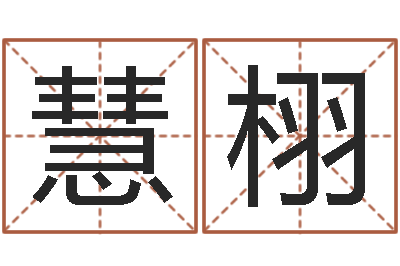 刘慧栩起名统-阿启在线算命免费