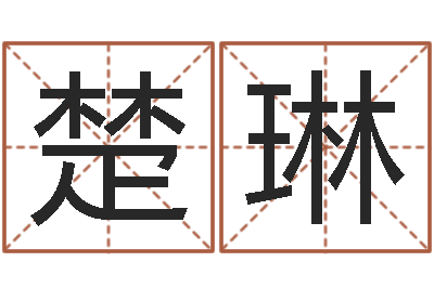 陈楚琳救生云-灵魂不健康的跑商时辰