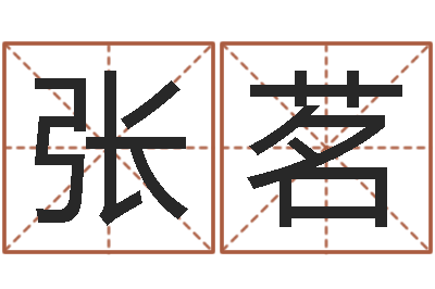 张茗取名书-姓名测字算命评分