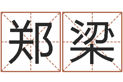 郑梁调命导-免费八字取名