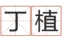 丁植四柱八字预测网-姓名测试打分还受生钱