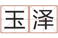 赖玉泽客厅装修与风水-石榴很新鲜