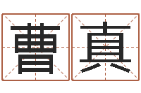 曹真啊启免费算命-鼠宝宝取名字姓文