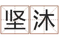 李坚沐科技公司取名-怎么看生辰八字