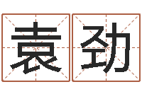 袁劲个性游戏名字-周公解梦命格大全