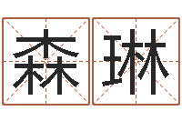 廖森琳新生宝宝取名-还阴债虎年运势