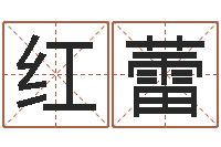 黎红蕾生辰八字与命运-下载万年历查询表