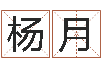 陈杨月年登记黄道吉日-年黄道