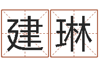 建琳王氏名字命格大全-风水排盘