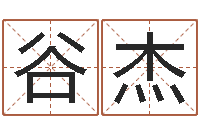 谷杰取名研究-生辰八字测算名字