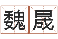 魏晟兔年出生的宝宝取名-投币机算命