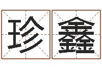 樊珍鑫测名zi-免费给婴儿起名