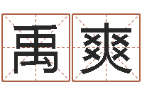 禹爽免费个人起名-免费起名测名字打分