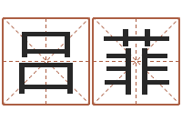 吕菲给猪宝宝起名字-居家装饰