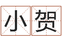 张小贺还受生钱网上算命-四柱培训